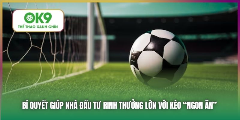 Bí quyết giúp nhà đầu tư rinh thưởng lớn với kèo “ngon ăn”
