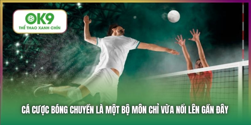 Cá cược bóng chuyền là một bộ môn chỉ vừa nổi lên gần đây