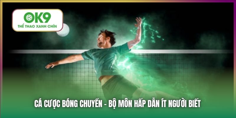 Cá Cược Bóng Chuyền OK9 - Theo Dõi Những Trận Đấu Hấp Dẫn
