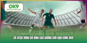 Cá Cược Bóng Đá Tại Nhà Cái Thể Thao Xanh Chín OK9