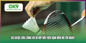 Cá Cược Cầu Lông Tại Ok9 - Khái Niệm và Các Loại Hình Cược