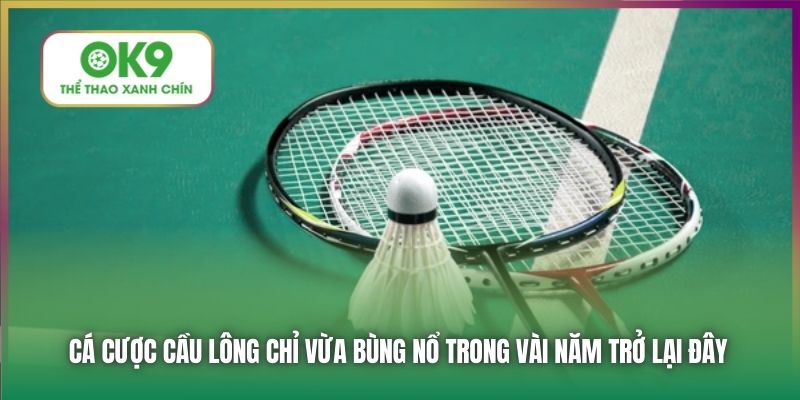 Cá cược cầu lông chỉ vừa bùng nổ trong vài năm trở lại đây
