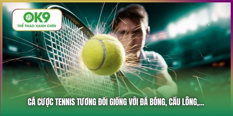Cá cược Tennis tương đối giống với đá bóng, cầu lông,...