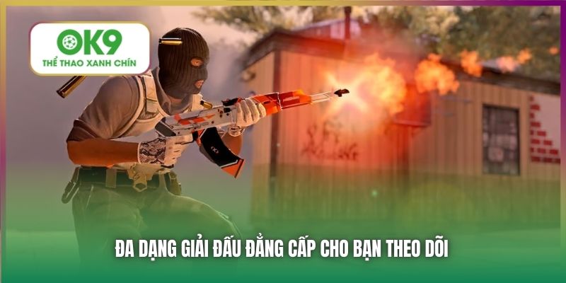 Đa dạng giải đấu đẳng cấp cho bạn theo dõi