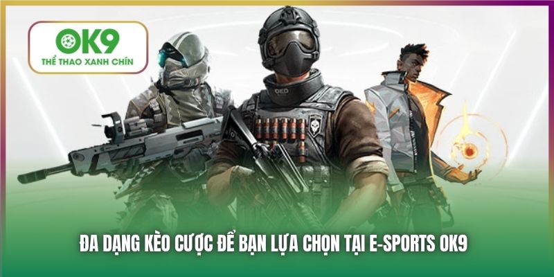 Đa dạng kèo cược để bạn lựa chọn tại E-sports OK9