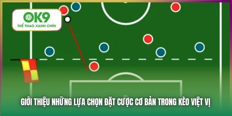 Giới thiệu những lựa chọn đặt cược cơ bản trong kèo việt vị