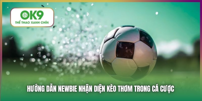 Hướng dẫn newbie nhận diện kèo thơm trong cá cược