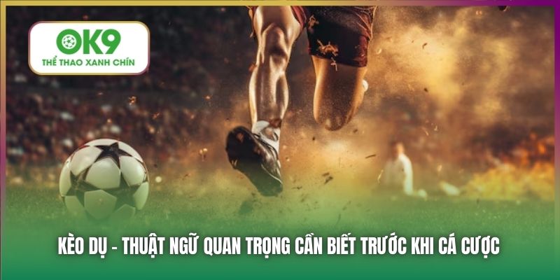 Kèo dụ - thuật ngữ quan trọng cần biết trước khi cá cược