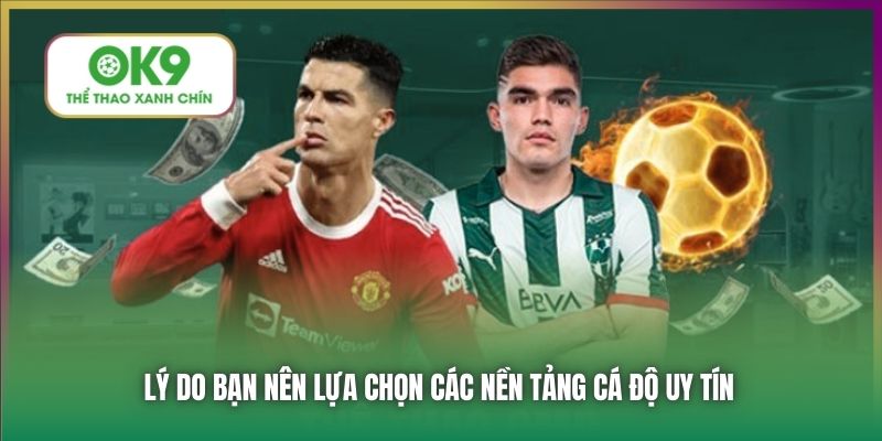 Lý do bạn nên lựa chọn các nền tảng cá độ uy tín