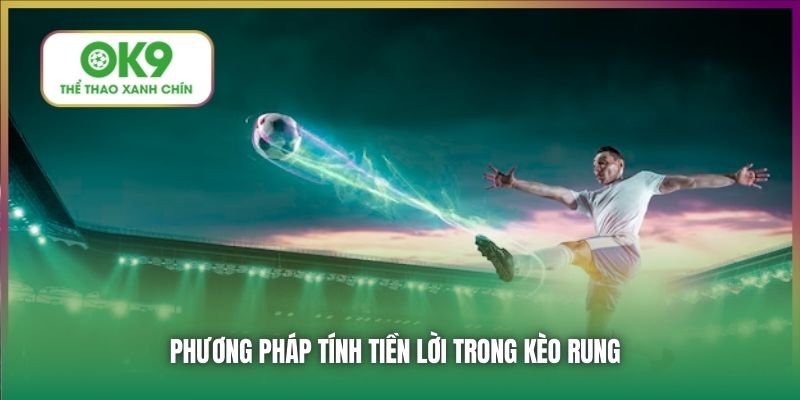 Phương pháp tính tiền lời trong kèo rung
