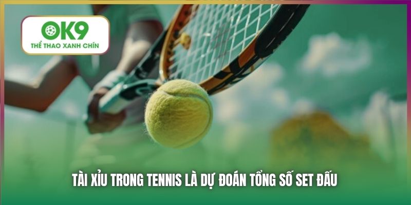Tài Xỉu trong Tennis là dự đoán tổng số set đấu