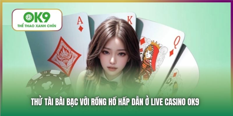 Thử tài bài bạc với Rồng Hổ hấp dẫn ở Live Casino OK9