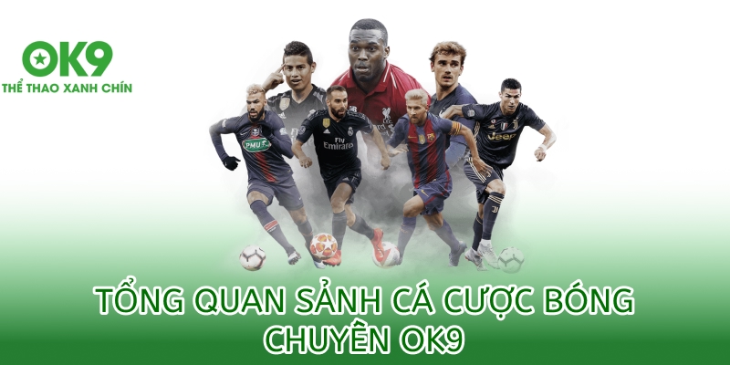 Cá cược bóng chuyền là một bộ môn chỉ vừa nổi lên gần đây