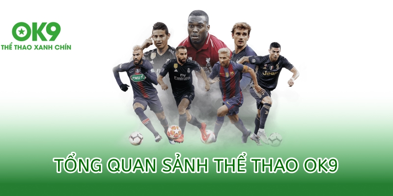 Thông tin tổng quan về chuyên mục Thể Thao OK9